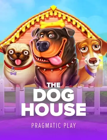 Kachingo Casino game The Dog House by Pragmatic Play, 96.5% RTP